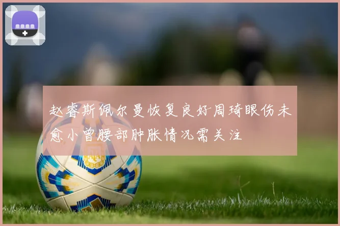 赵睿斯佩尔曼恢复良好周琦眼伤未愈小曾腰部肿胀情况需关注